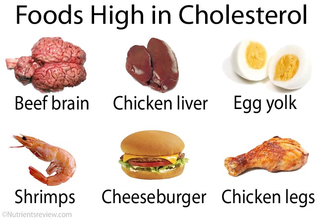 What Foods Cause High Cholesterol?