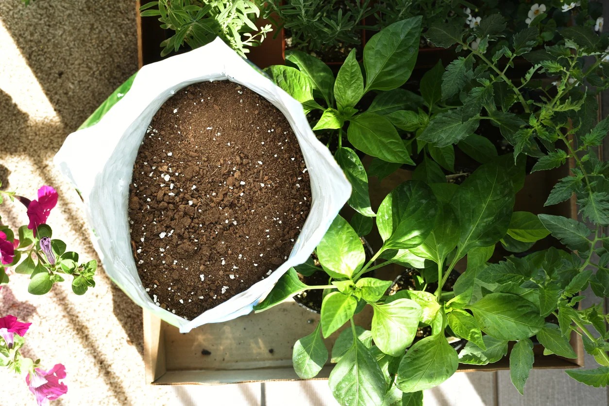 What'S The Difference Between Gardening Soil And P