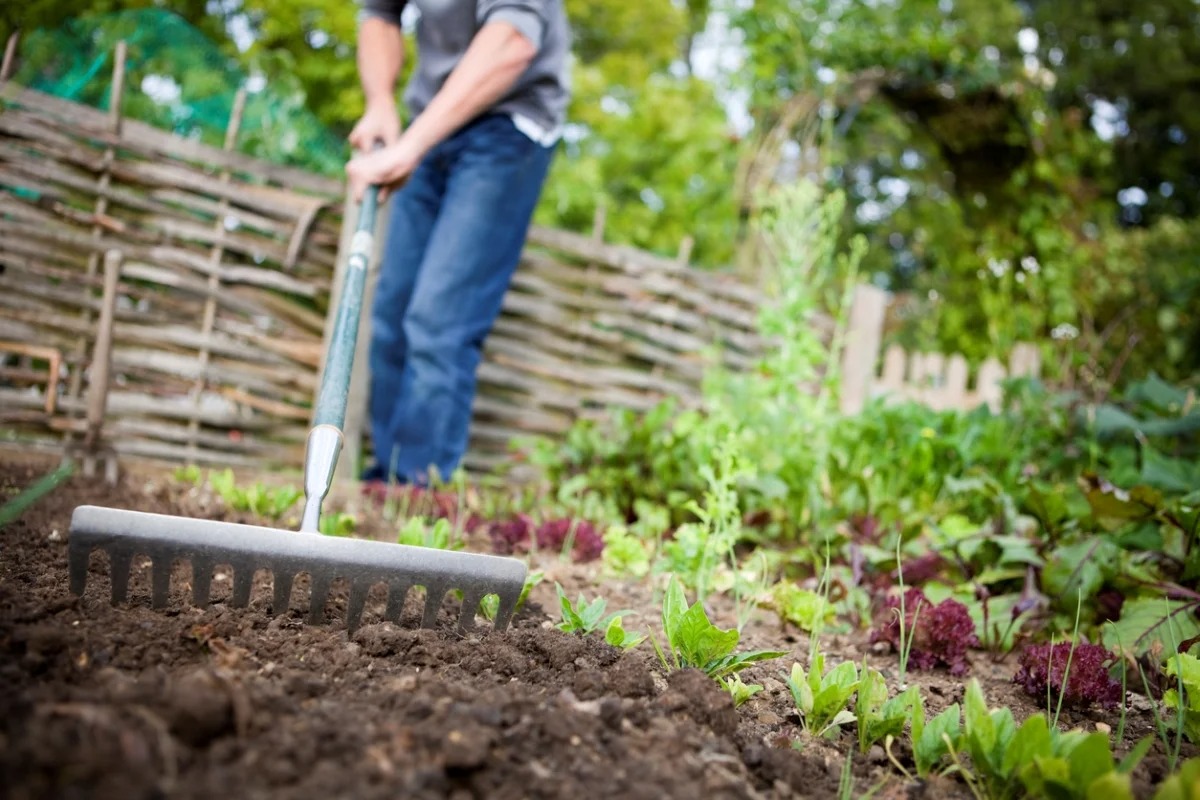 Why Is Gardening Good For You