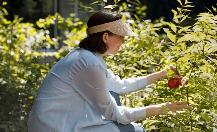 Exploring the Link Between Herbal and Enhanced Cog