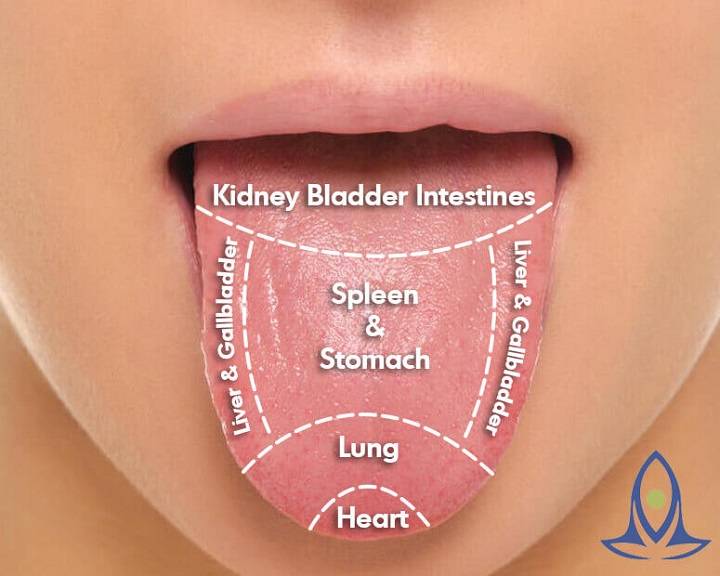 Tongue Health Chart: Understanding the Key Indicators of Oral Well-Being(图1)